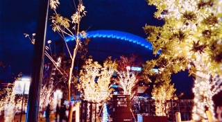 �yLIVE VISION 2025�z����2���� ���z