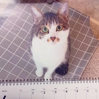�˂�