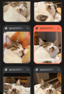 �˂�