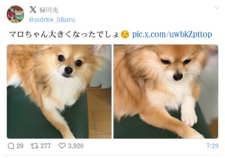����