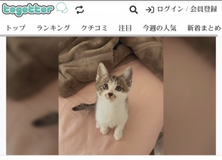 ���˂�