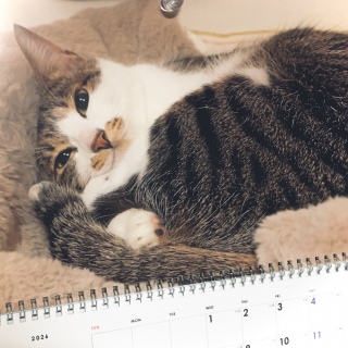 �˂�