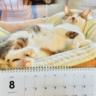 �˂�