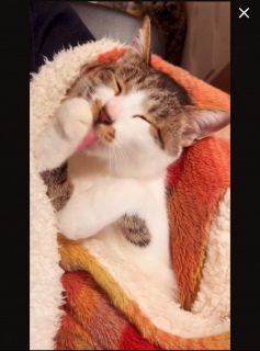 �˂�