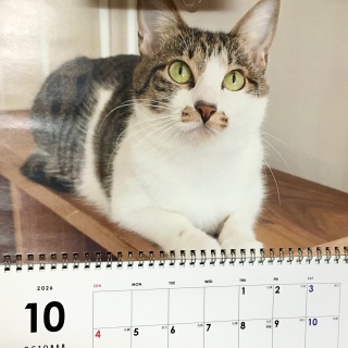 �˂�